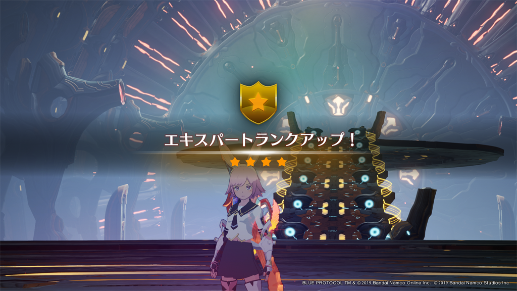 イージスファイターLv80