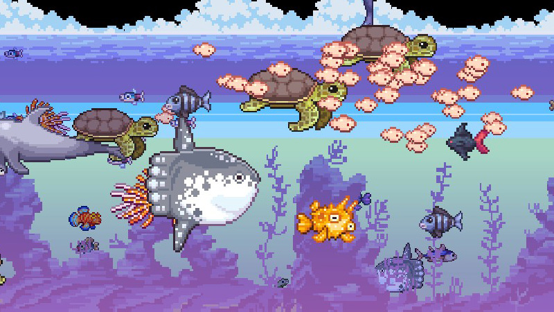 チンアナゴはどこでしょう