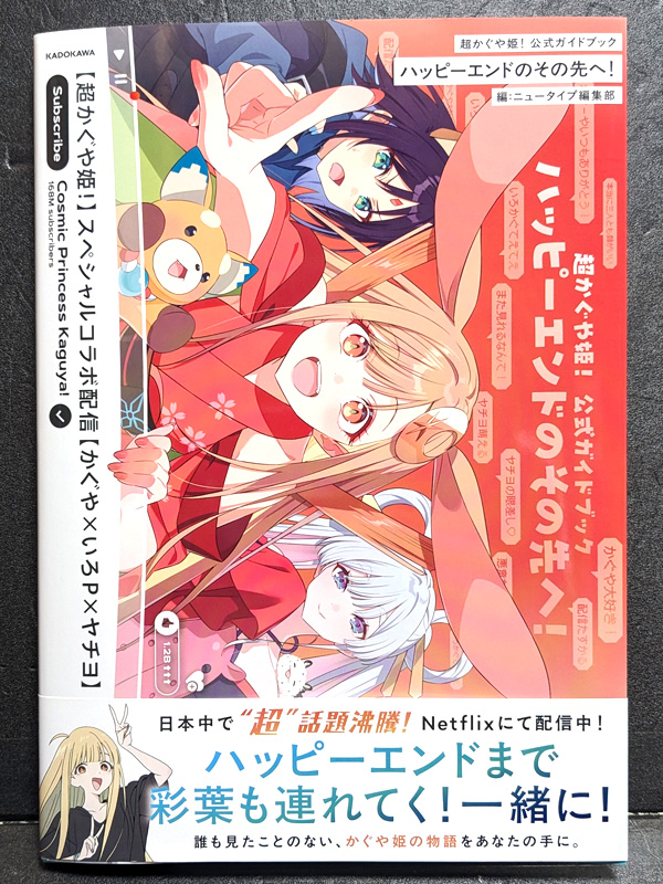 公式ガイドブック